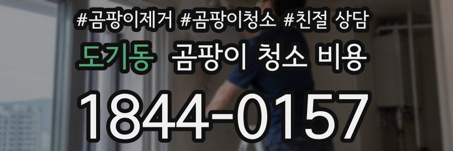 도기동 곰팡이 청소 비용