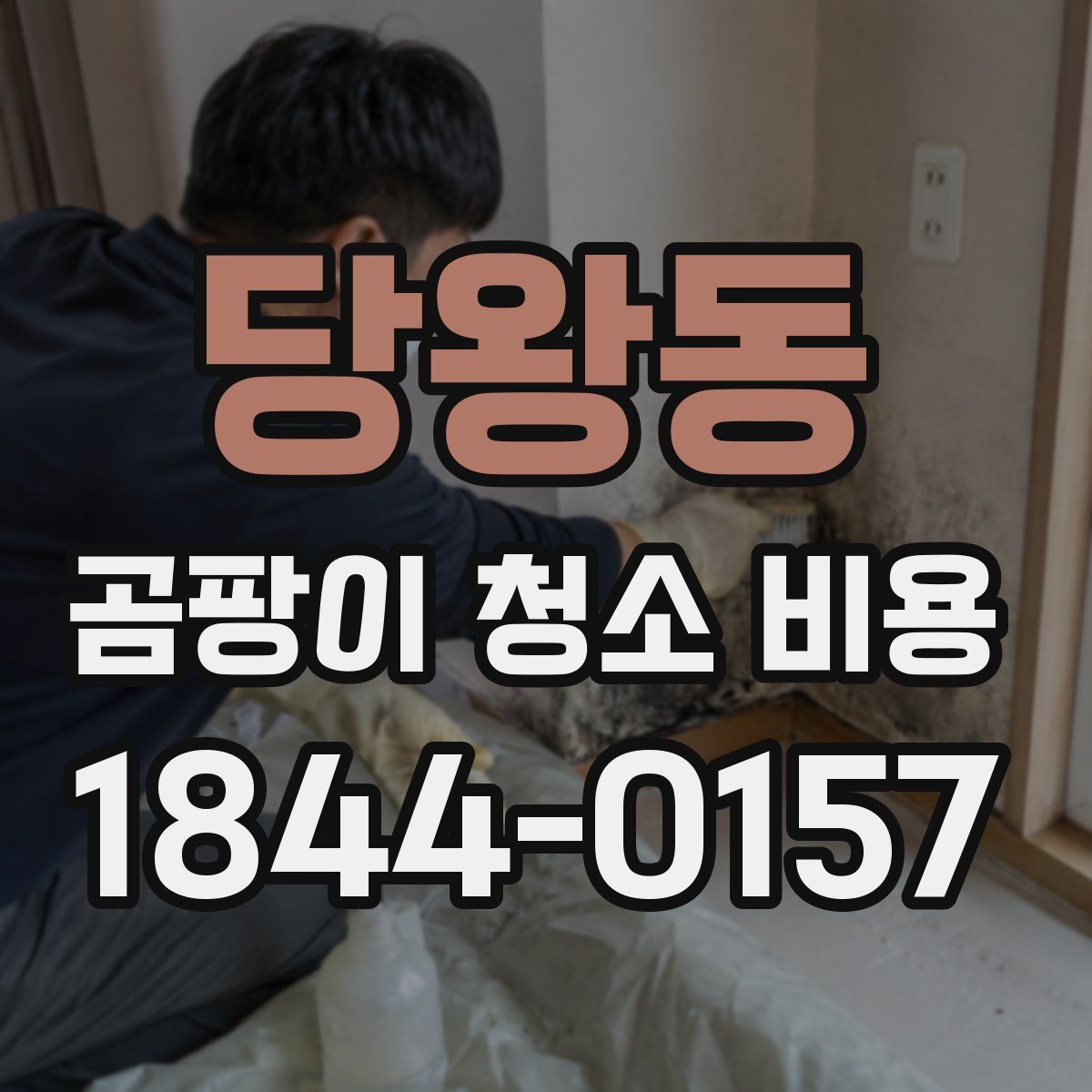 당왕동 곰팡이 청소 비용