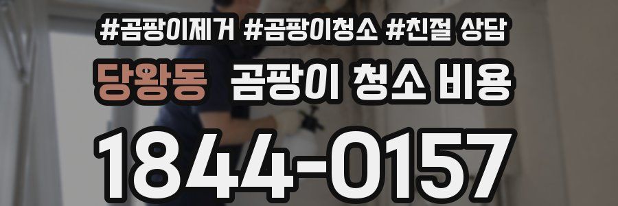 당왕동 곰팡이 청소 비용