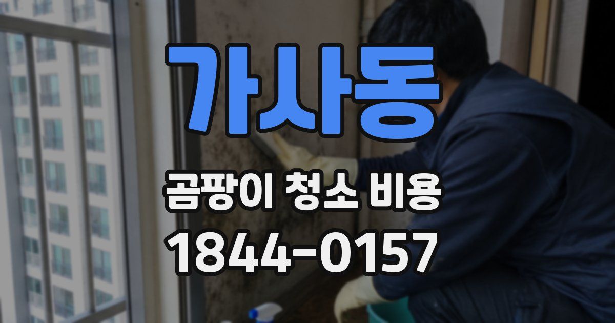 가사동 곰팡이 청소 비용