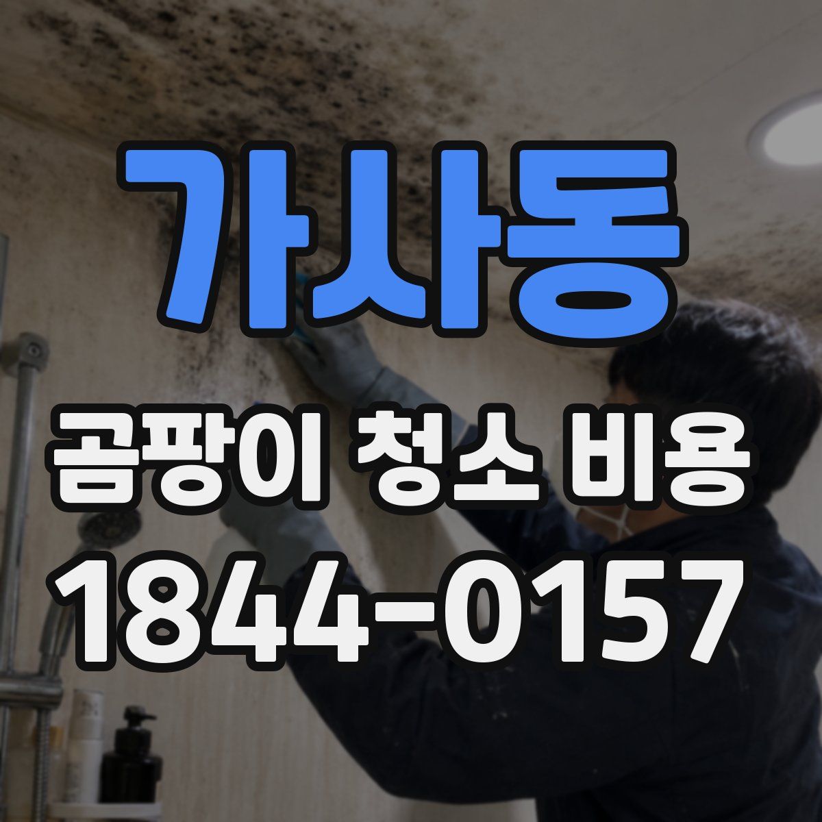 가사동 곰팡이 청소 비용