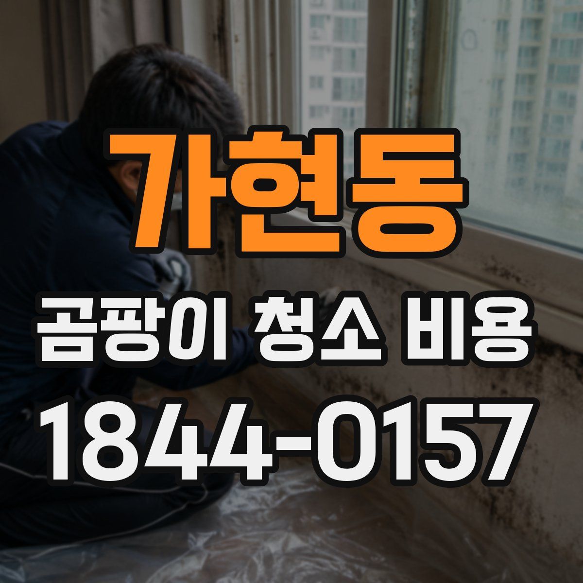 가현동 곰팡이 청소 비용