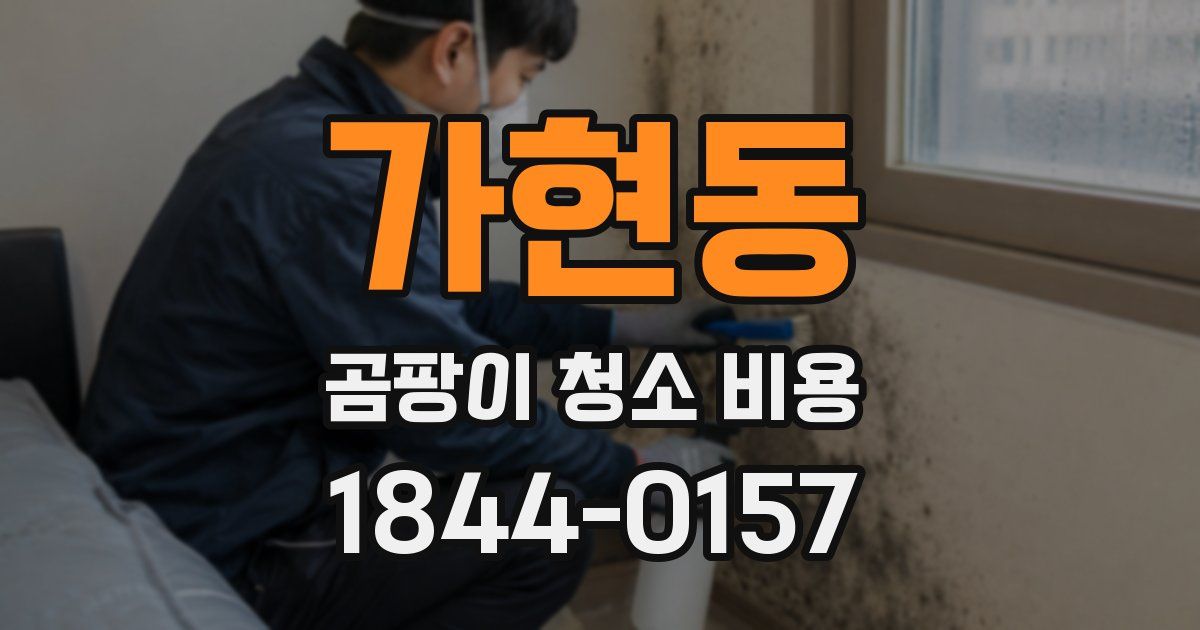 가현동 곰팡이 청소 비용