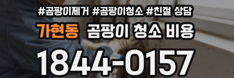 가현동 곰팡이 청소 비용