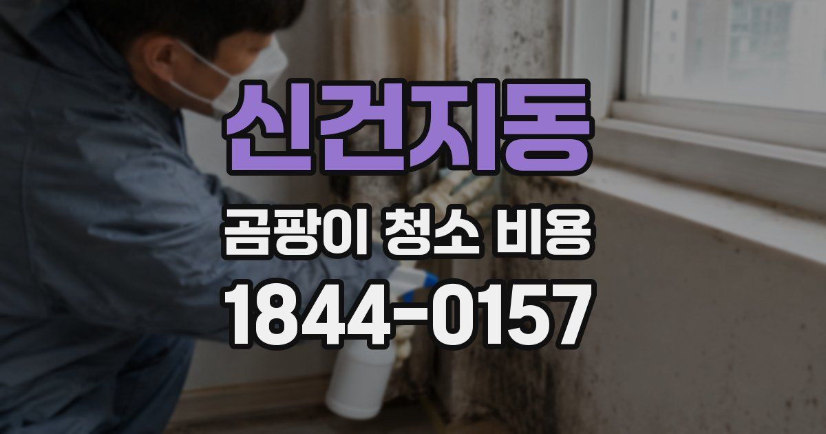 신건지동 곰팡이 청소 비용