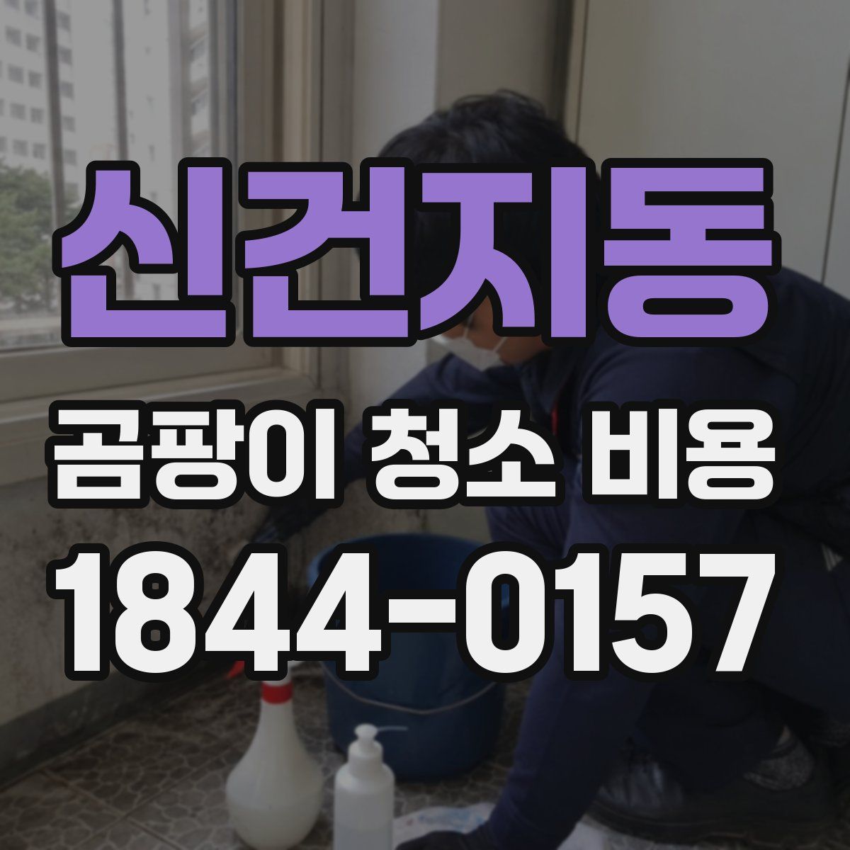 신건지동 곰팡이 청소 비용