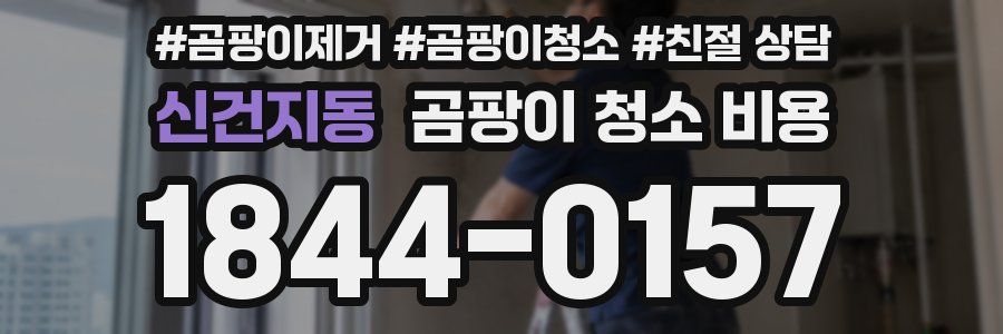 신건지동 곰팡이 청소 비용