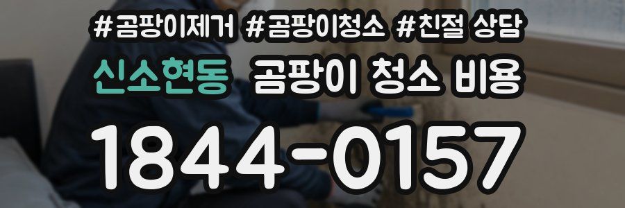 신소현동 곰팡이 청소 비용