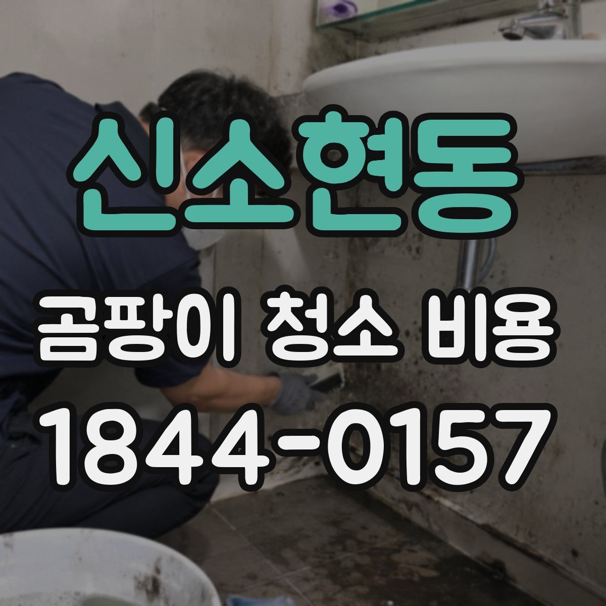 신소현동 곰팡이 청소 비용
