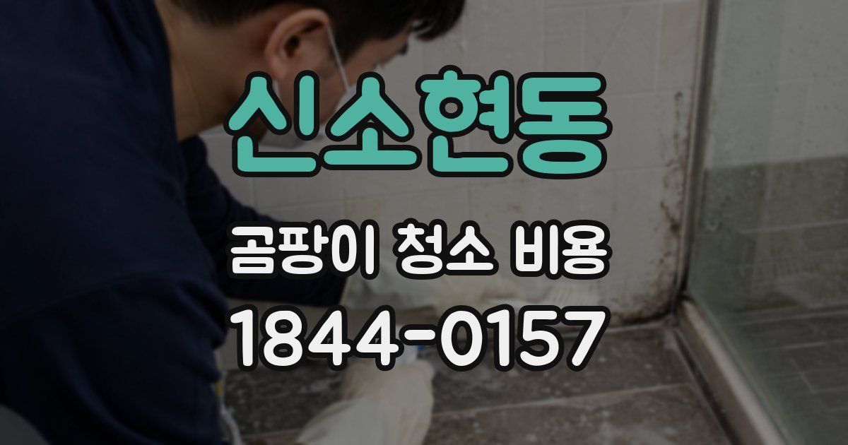 신소현동 곰팡이 청소 비용