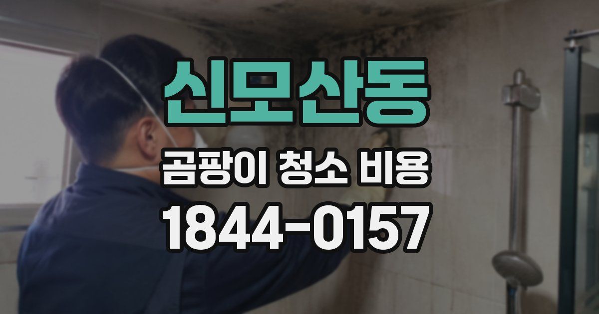 신모산동 곰팡이 청소 비용