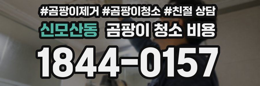 신모산동 곰팡이 청소 비용