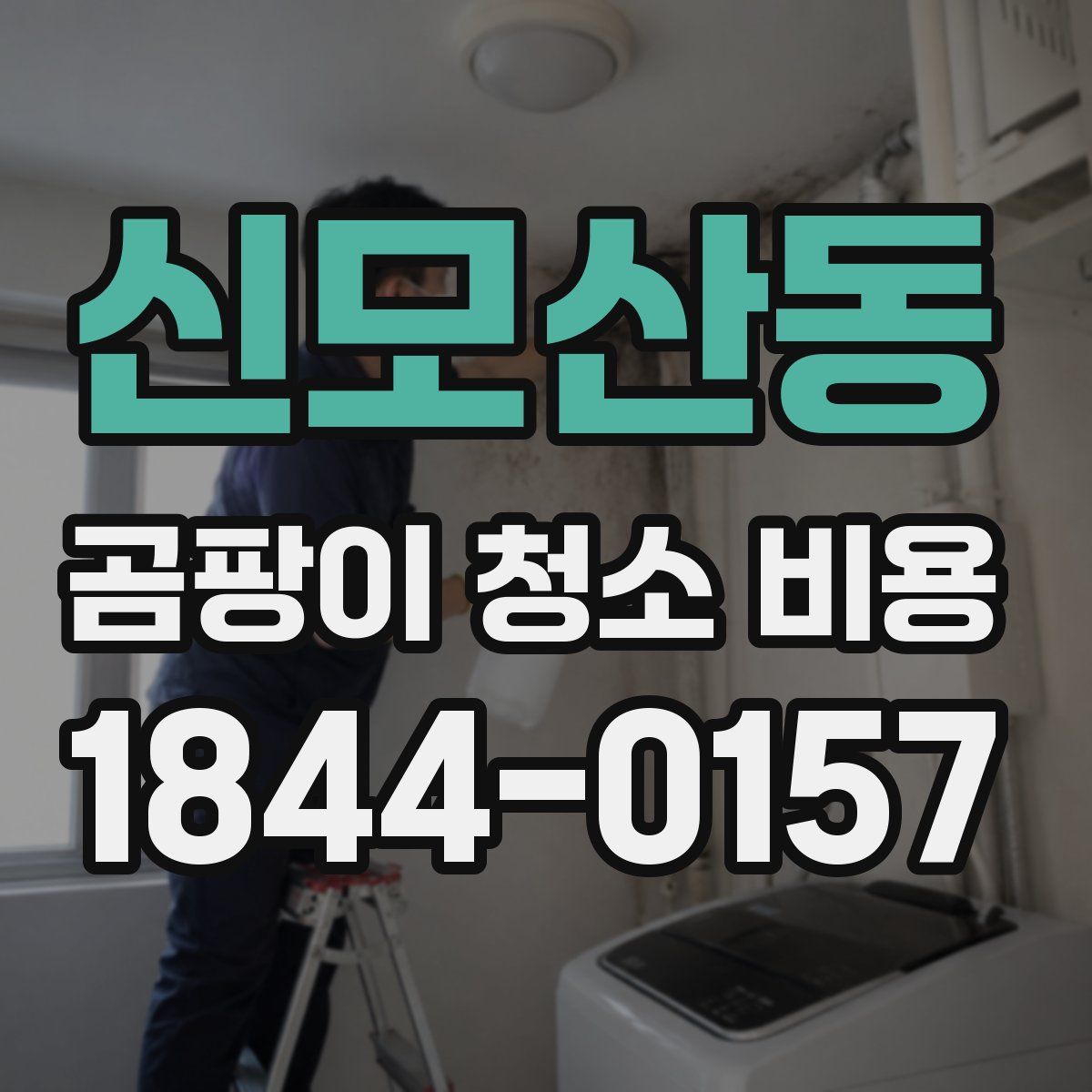 신모산동 곰팡이 청소 비용