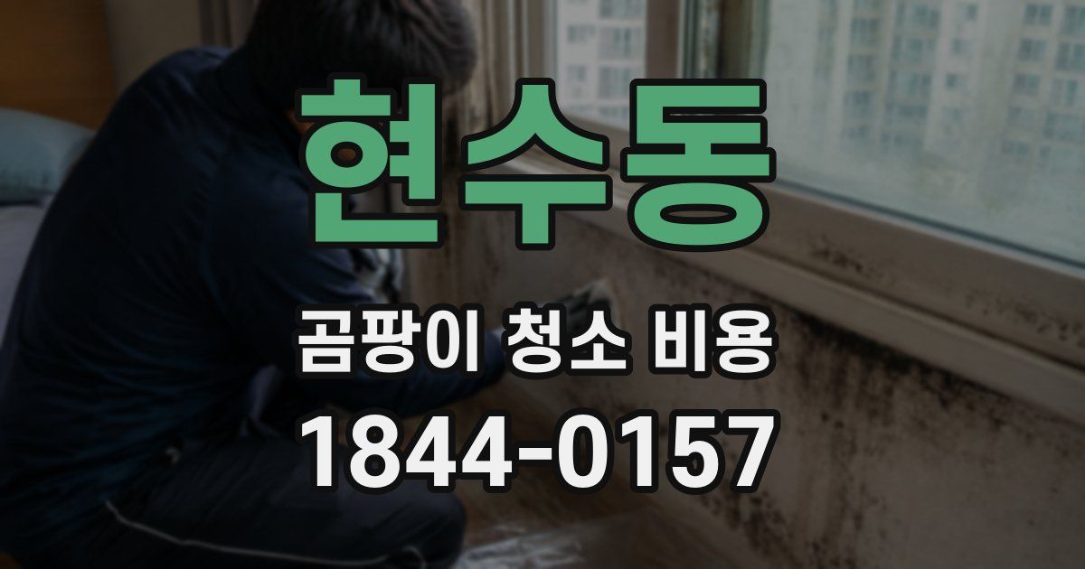 현수동 곰팡이 청소 비용