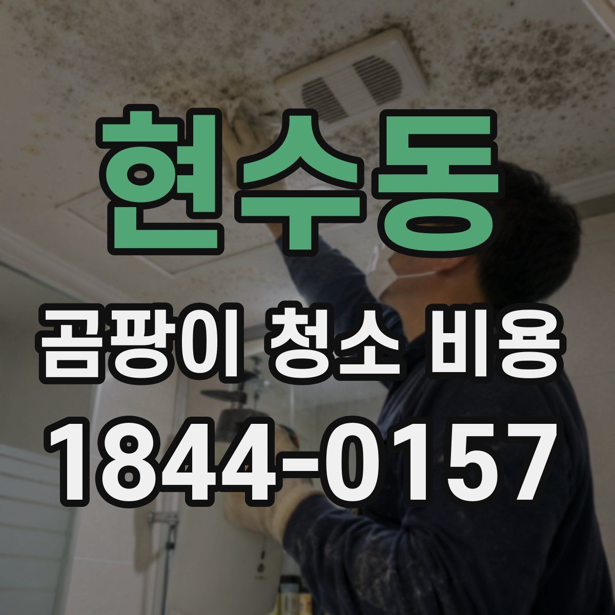 현수동 곰팡이 청소 비용