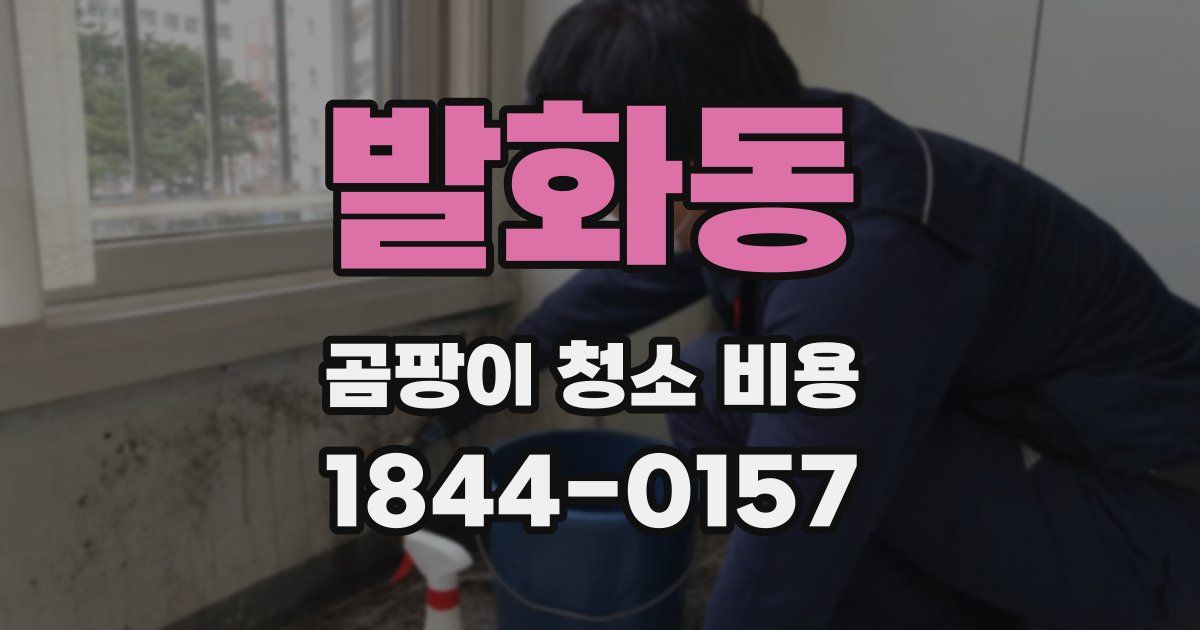 발화동 곰팡이 청소 비용