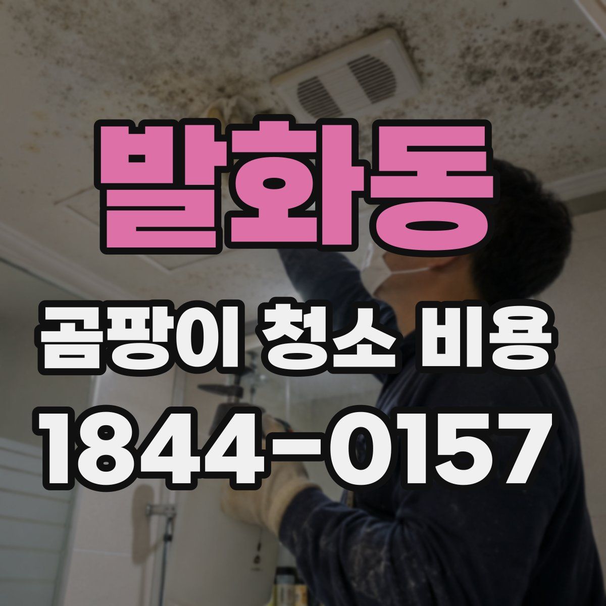 발화동 곰팡이 청소 비용