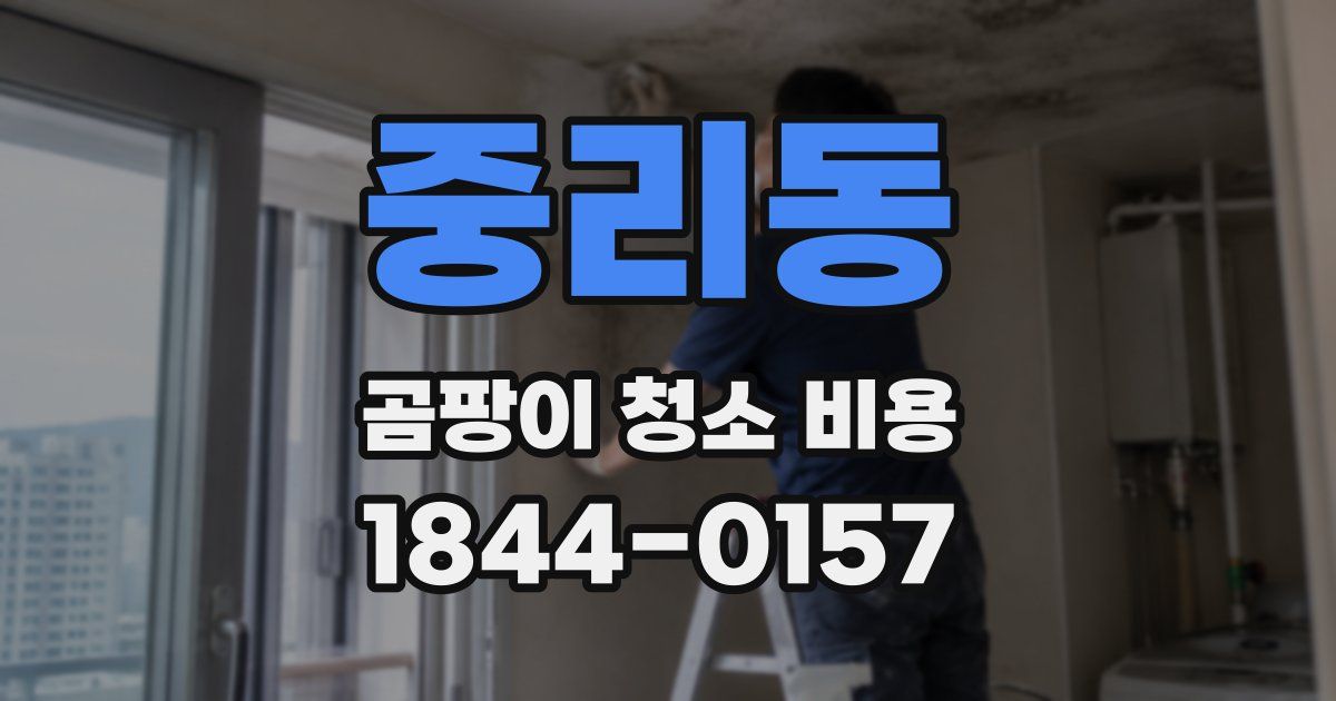 중리동 곰팡이 청소 비용