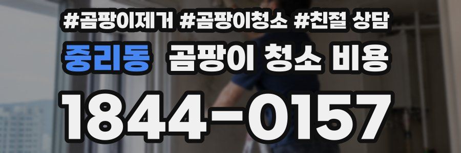 중리동 곰팡이 청소 비용