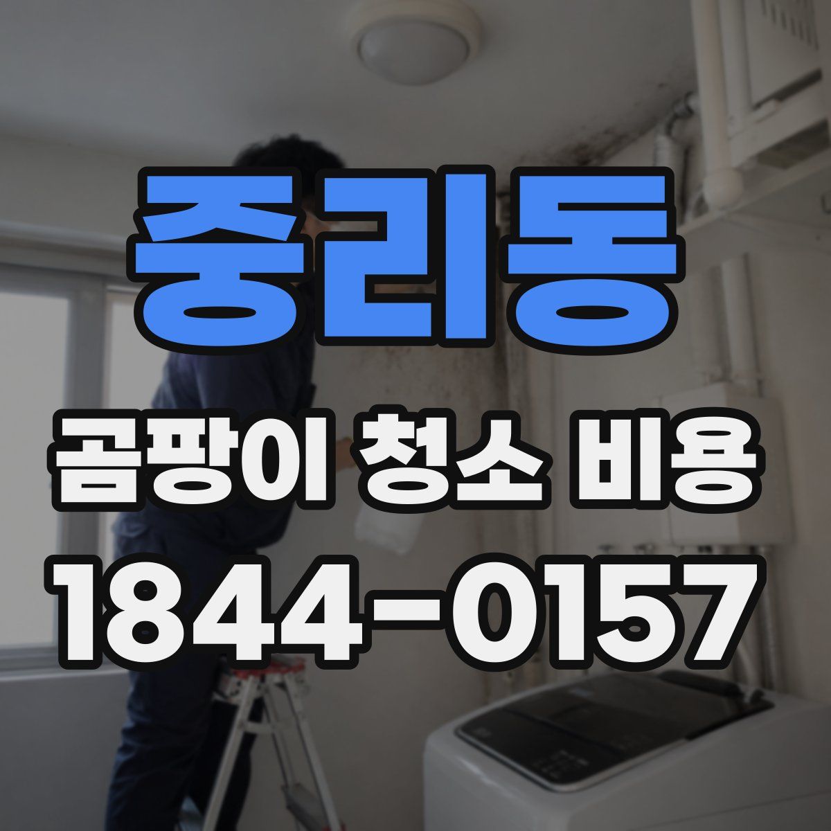중리동 곰팡이 청소 비용