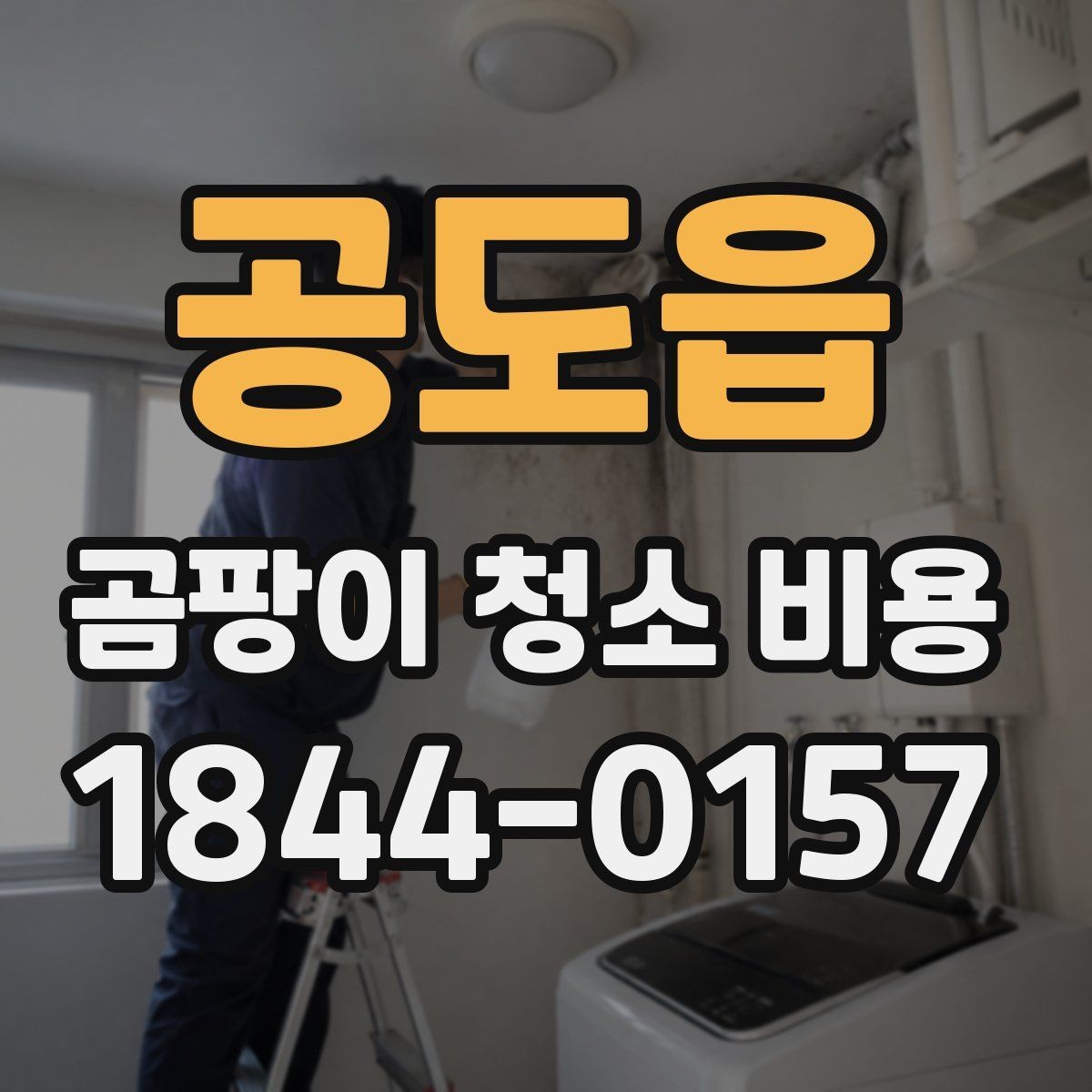 공도읍 곰팡이 청소 비용 상담 시 자주 묻는 질문