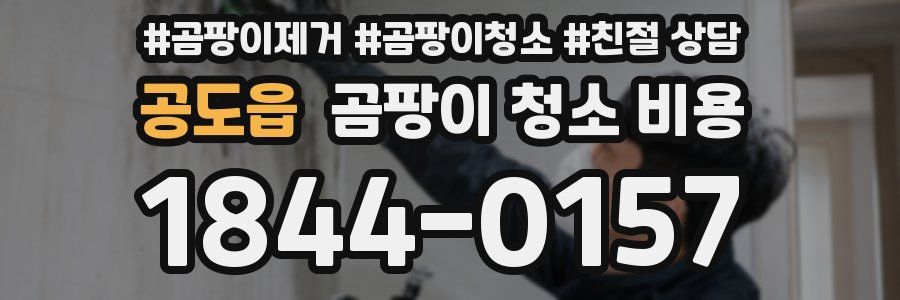 공도읍 곰팡이 청소 비용