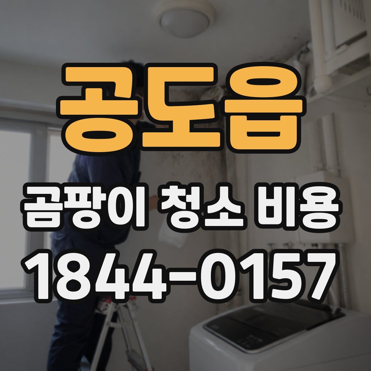공도읍 곰팡이 청소 비용