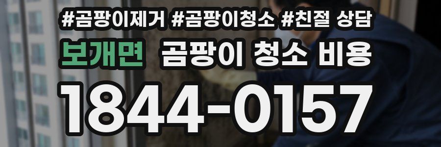 보개면 곰팡이 청소 비용