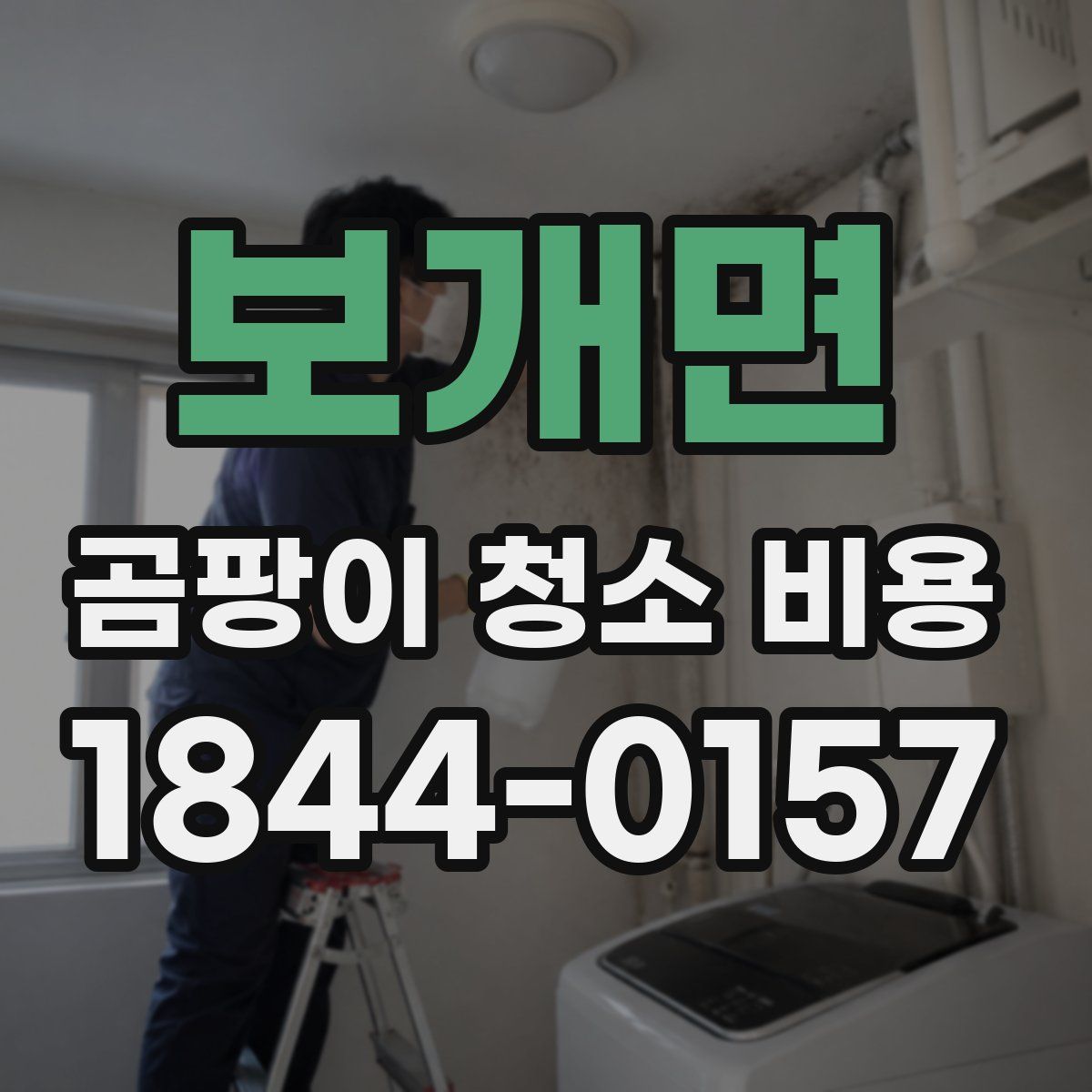 보개면 곰팡이 청소 비용