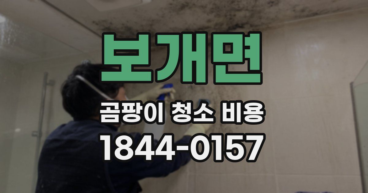 보개면 곰팡이 청소 비용
