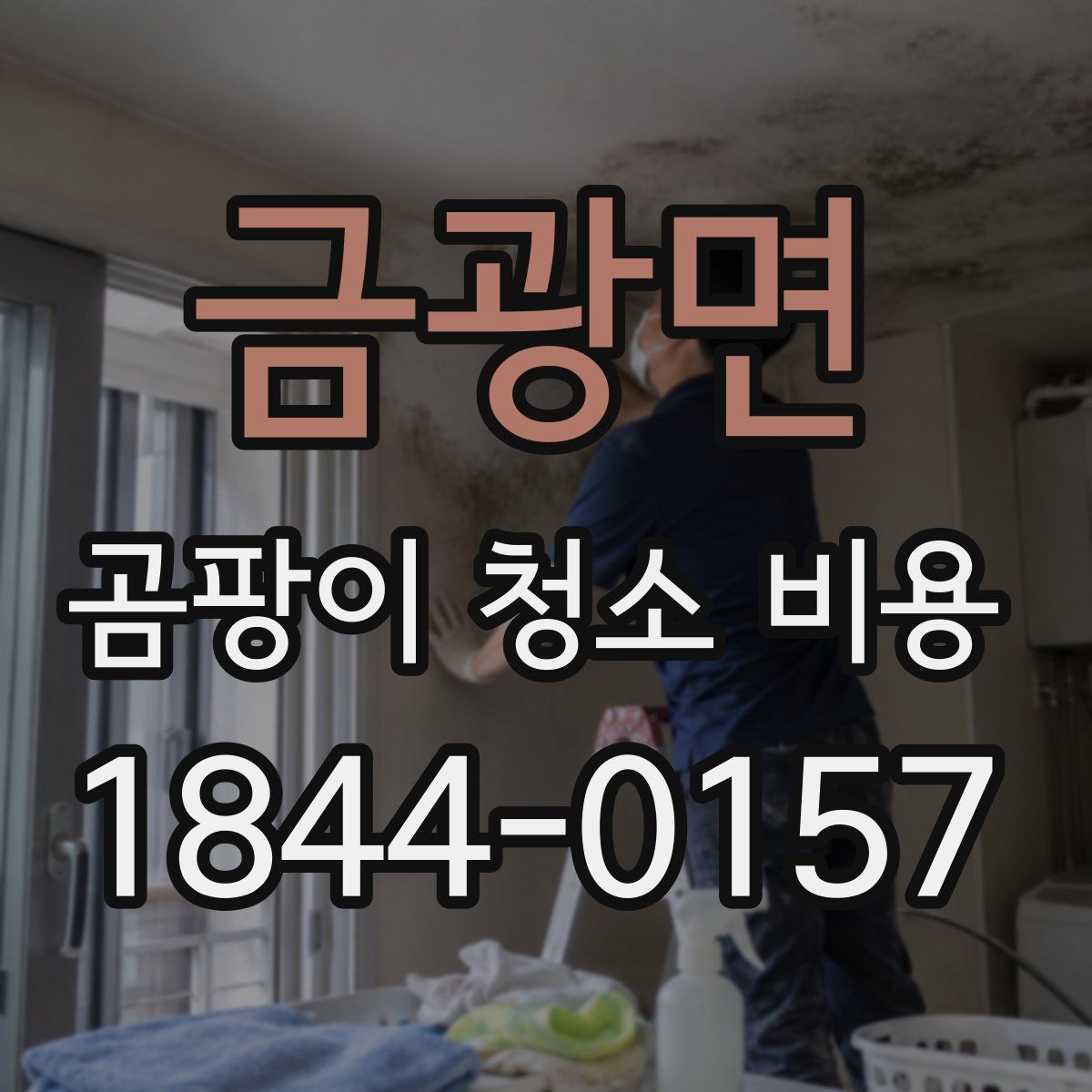 금광면 곰팡이 청소 비용