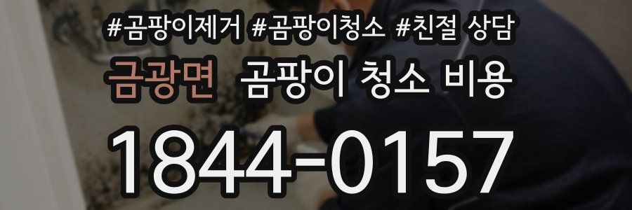 금광면 곰팡이 청소 비용