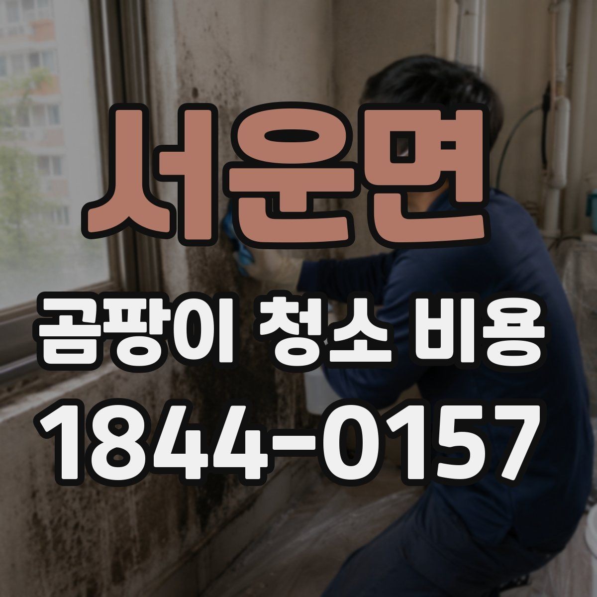 서운면 곰팡이 청소 비용 문의 후 작업까지의 진행 과정