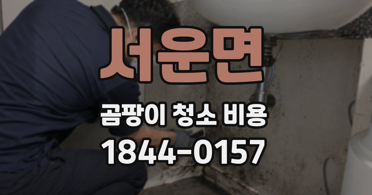 서운면 곰팡이 청소 비용