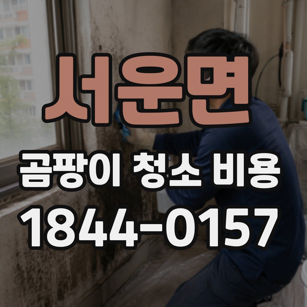 서운면 곰팡이 청소 비용