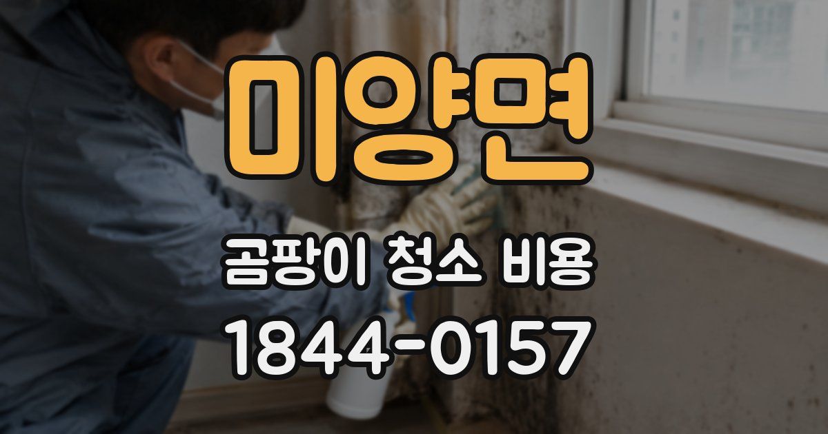 미양면 곰팡이 청소 비용
