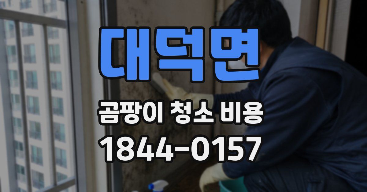 대덕면 곰팡이 청소 비용