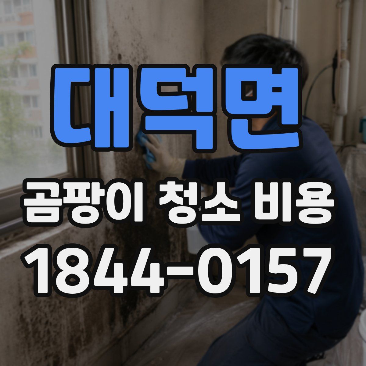 대덕면 곰팡이 청소 비용