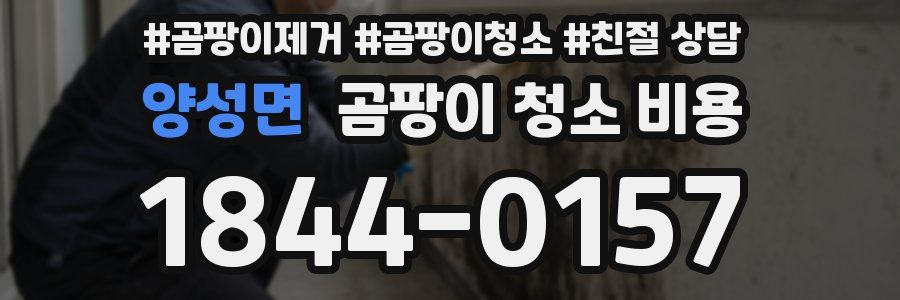 양성면 곰팡이 청소 비용
