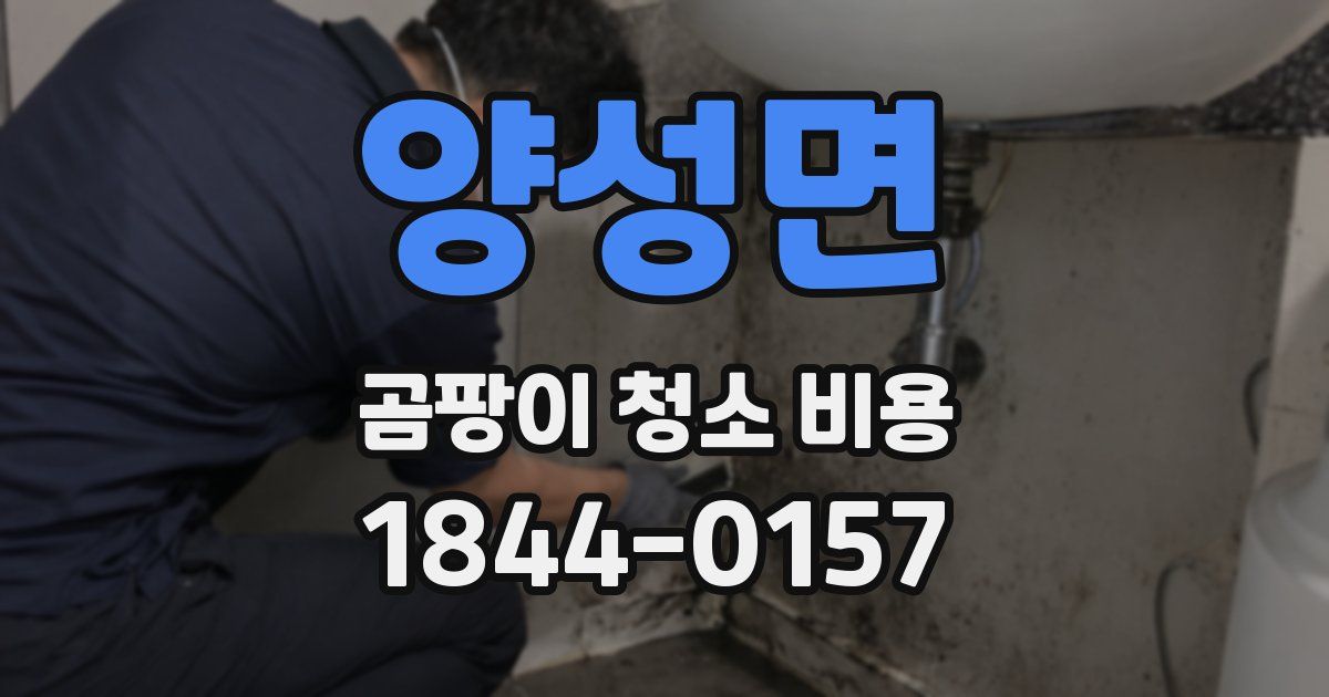 양성면 곰팡이 청소 비용