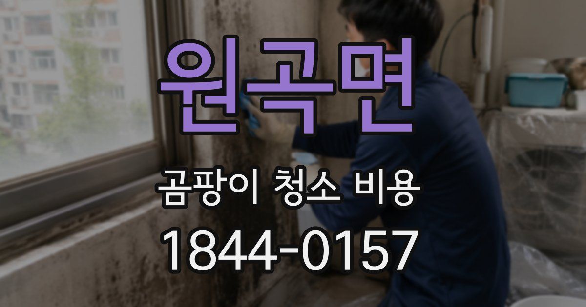 원곡면 곰팡이 청소 비용
