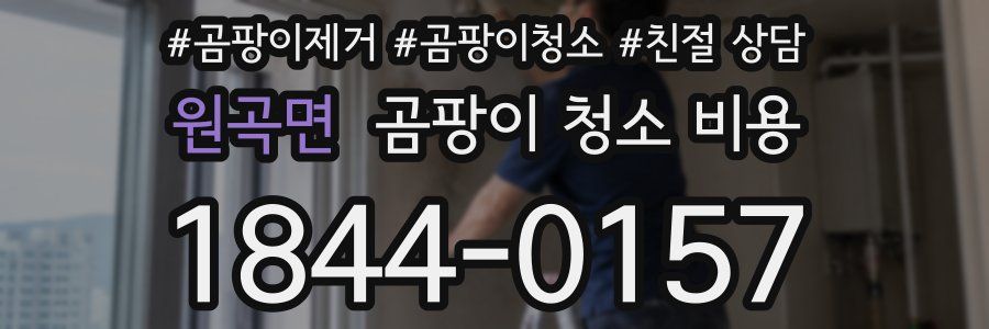 원곡면 곰팡이 청소 비용