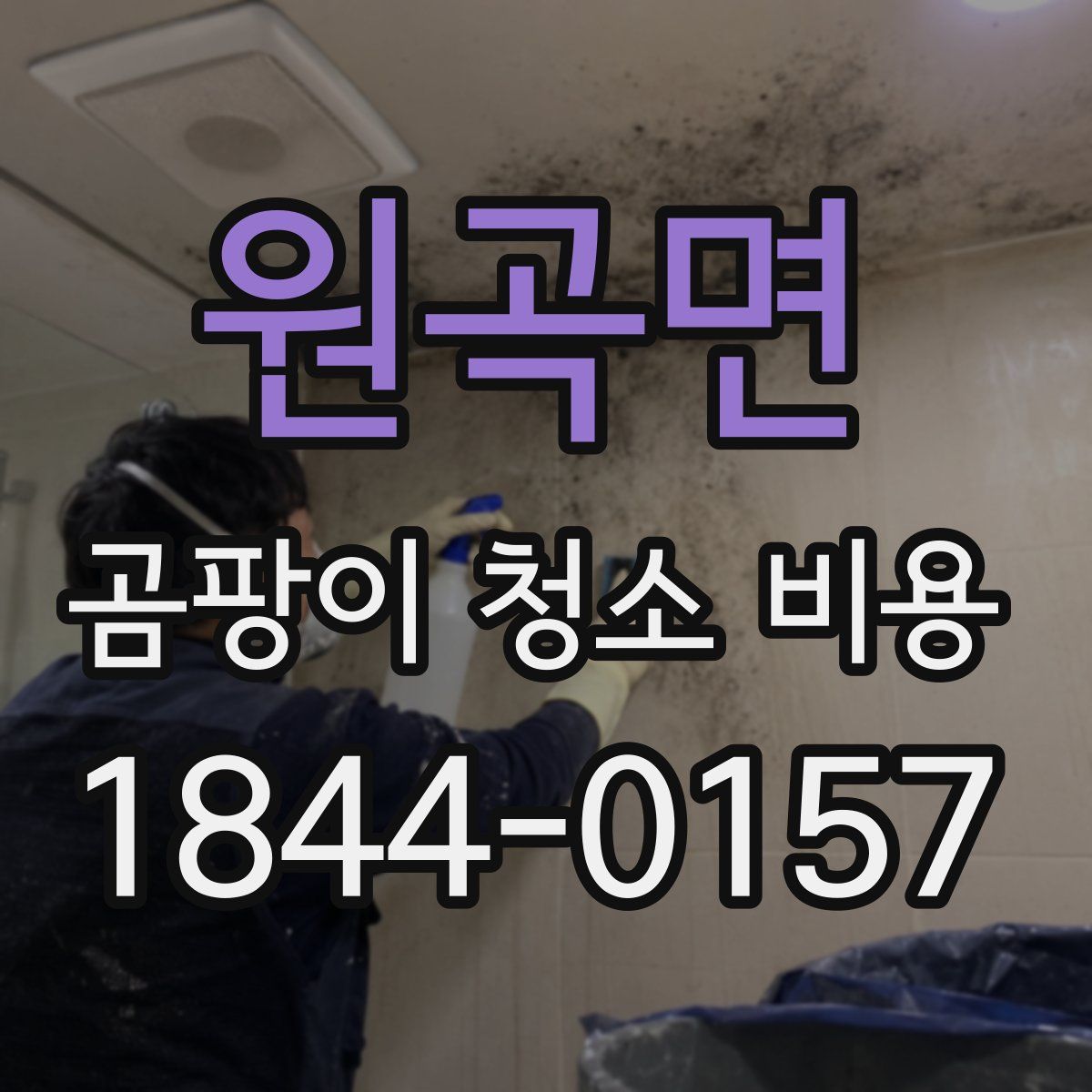 원곡면 곰팡이 청소 비용