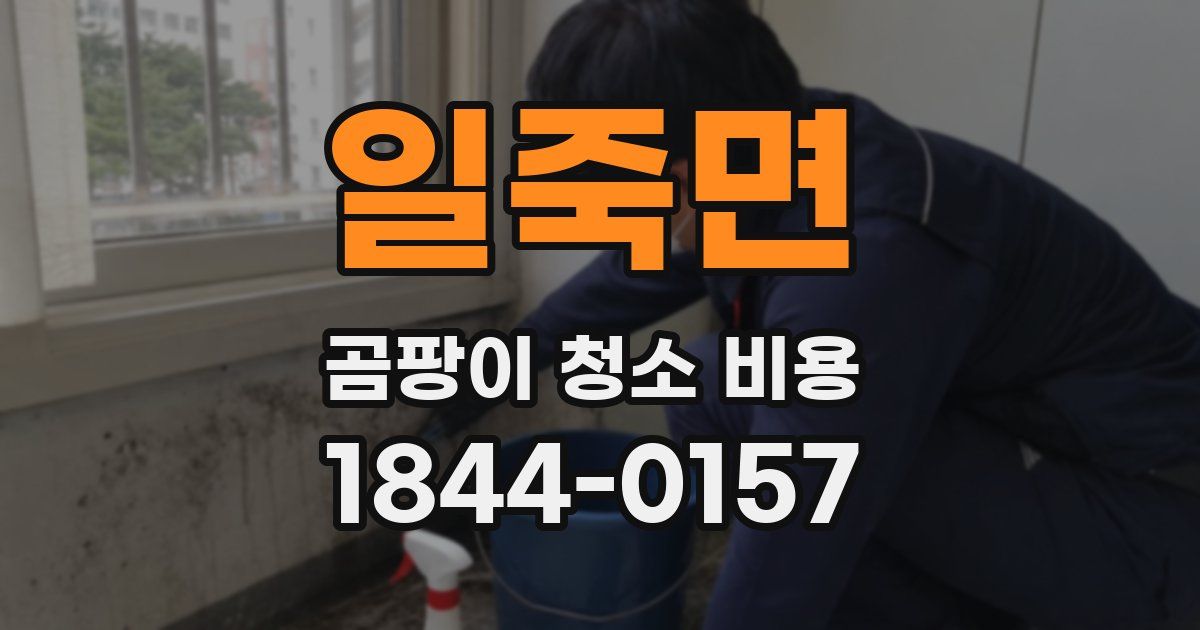 일죽면 곰팡이 청소 비용