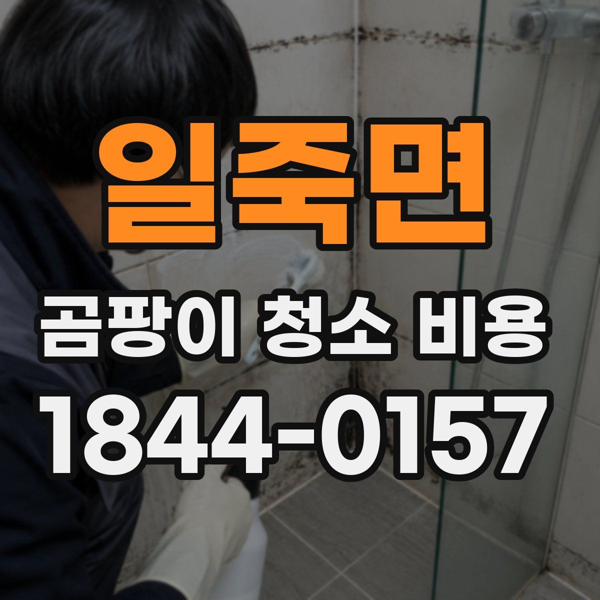 일죽면 곰팡이 청소 비용