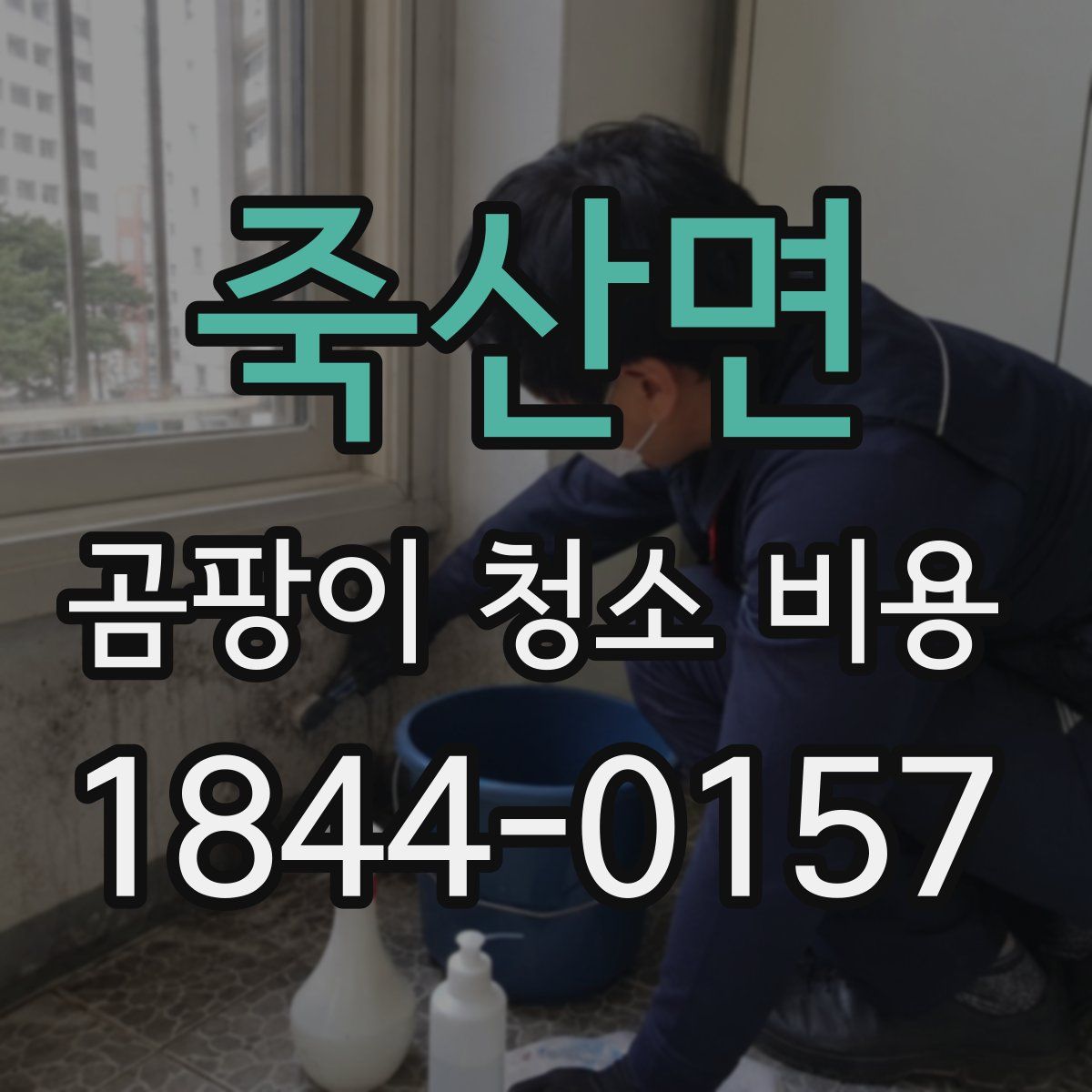 죽산면 곰팡이 청소 비용