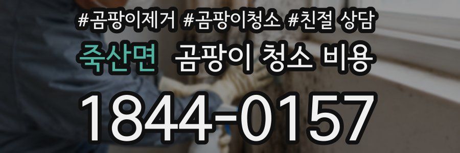 죽산면 곰팡이 청소 비용