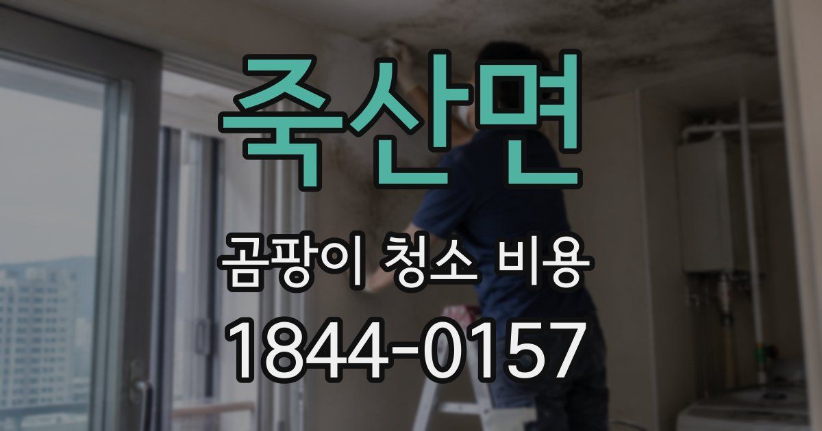 죽산면 곰팡이 청소 비용