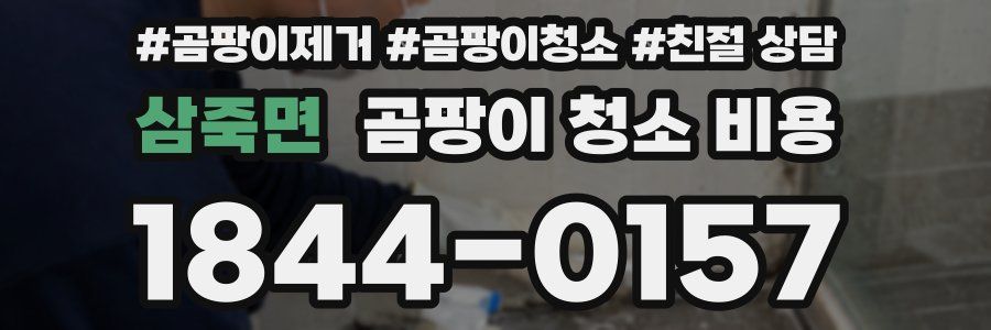 삼죽면 곰팡이 청소 비용