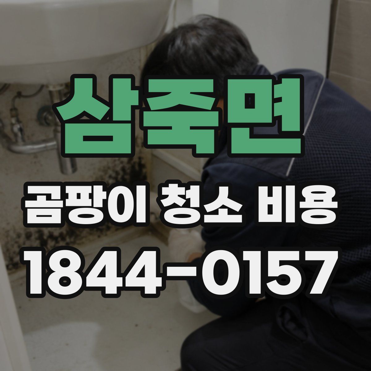 삼죽면 곰팡이 청소 비용